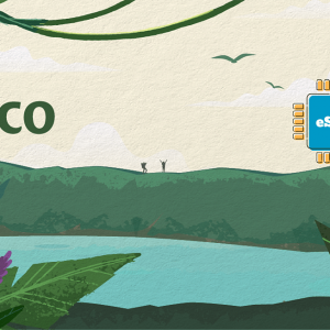 Pico 2 GB - 15 Days