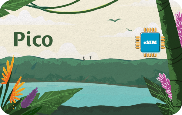 Pico 10 GB - 30 Days