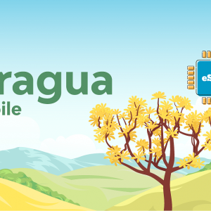 Aragua Mobile 1 GB - 7 Days