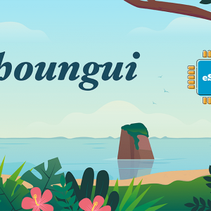 Choungui 1 GB - 7 Days