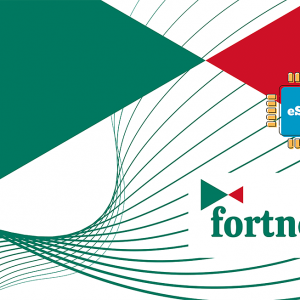 Fortnet 1 GB - 7 Days