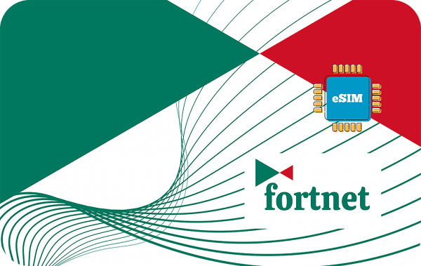Fortnet 1 GB - 7 Days